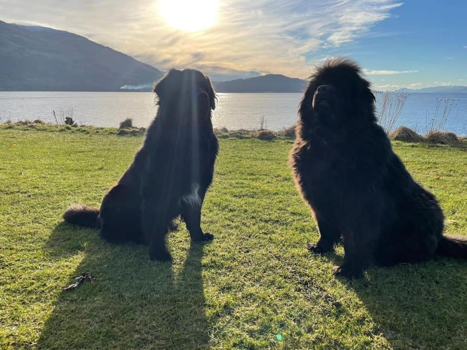Dalrigh Pod Villa Onich Eksteriør billede